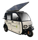 태양 전지판 270X120X170cm 전기 화물 세발 자전거